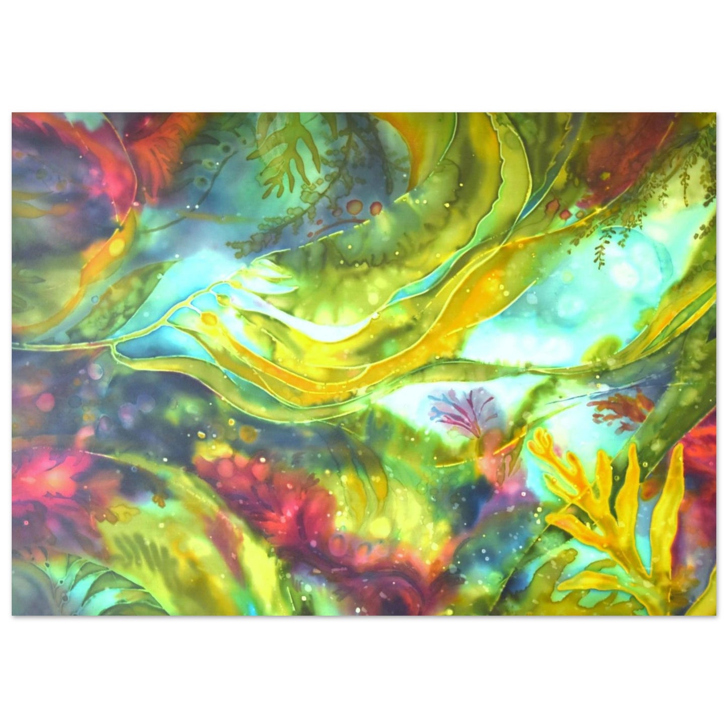 6cfe92c0-bf5b-47b5-bb11-b342bce5b44b