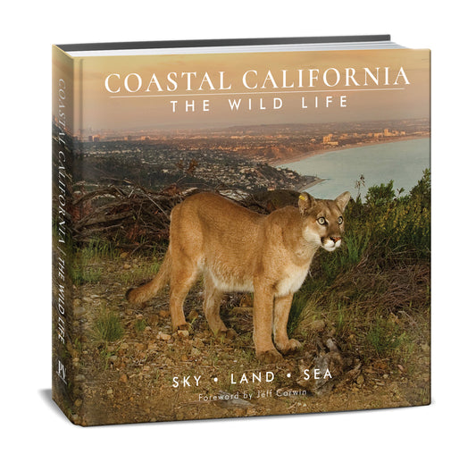 Coastal California, The Wild Life